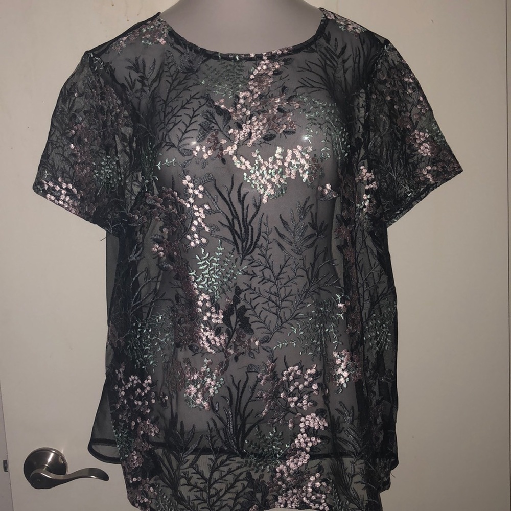 Sheer Embroidered Top